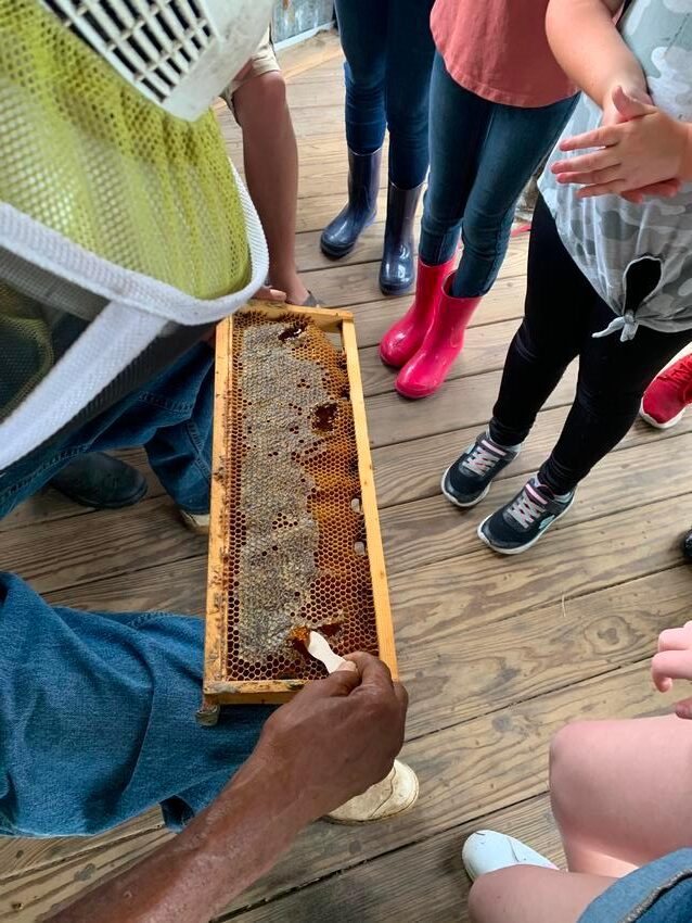 A person holding a bee hive in front of several other people.